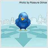 twitter bird