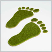 Corporate Social Responsibility