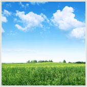 Web_June11_A
