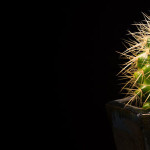 Permalink to The Spike – Word’s unknown feature