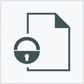 Security_Nov10_A