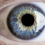 Permalink to The phone your eyes can control