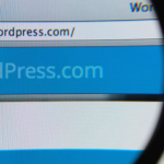 Permalink to Vulnerabilities on WordPress websites