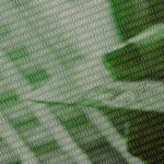 Permalink to How blockchain can revolutionize healthcare