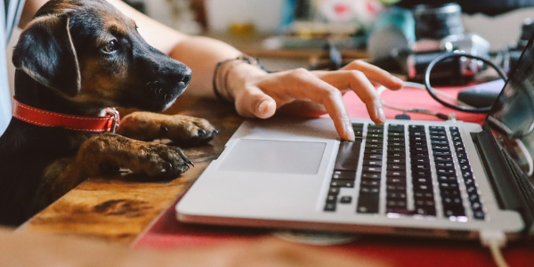 Permalink to How working from home is becoming the new norm