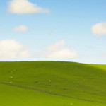 Permalink to What to do about Windows XP