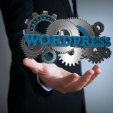 programming concept: text wordpress with gears over businessman hand