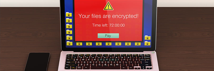 No Ransom: a place for free decryption