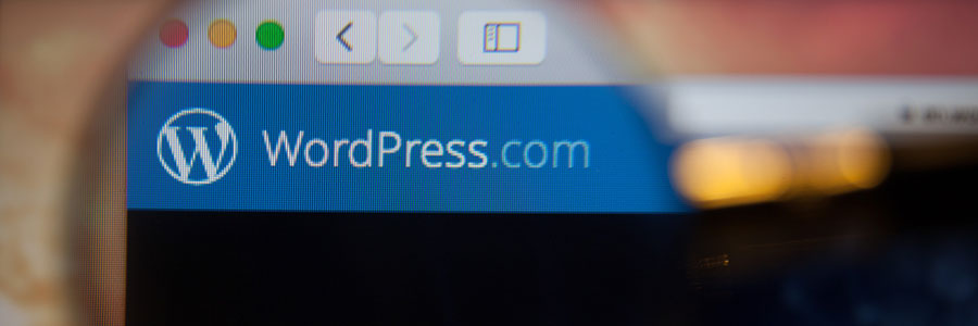 Maintain your WordPress website with these 6 easy steps