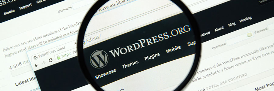 A checklist for avoiding WordPress website issues