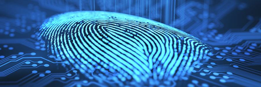 Smartphone browsers now support biometrics