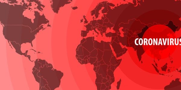 Permalink to Business impacts of the coronavirus disease