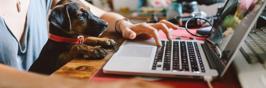 How working from home is becoming the new norm